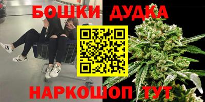 скорость Заводоуковск