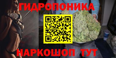 тгк Заволжье