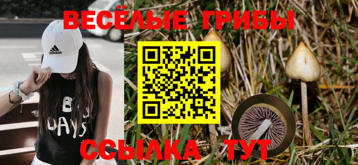 Псилоцибиновые грибы GOLDEN TEACHER Кыштым