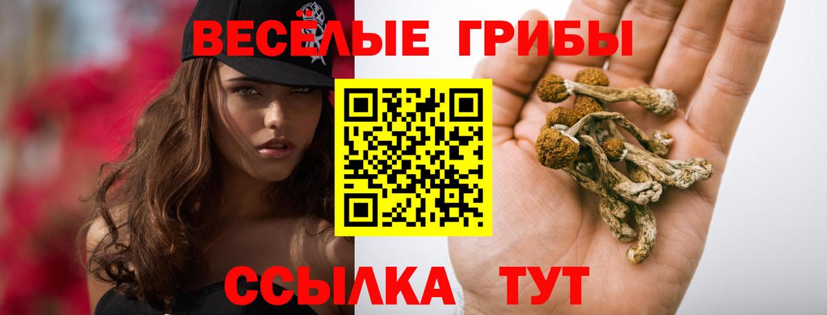 Галлюциногенные грибы прущие грибы  Вход с VPN  Кыштым 